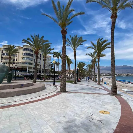 Bon Dia Albir